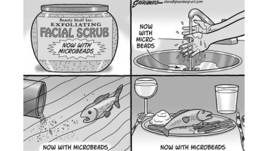 Microbeads in Facial Scrubs Massive Environmental Pollutant